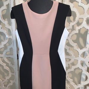 Great for Work Dress size 8